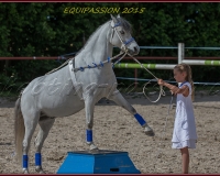 1-13JUIN 0944